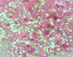 BUBBLEBATH (White/Pink) Iridescent Chunky Glamdoll Glitter - inkeddollcosmetics